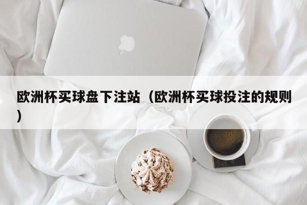 欧洲杯买球盘下注站（欧洲杯买球投注的规则）