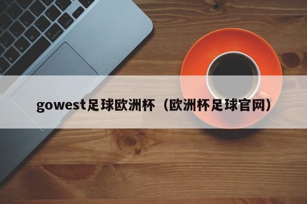 gowest足球欧洲杯（欧洲杯足球官网）