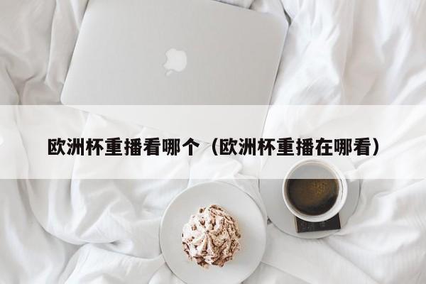 欧洲杯重播看哪个（欧洲杯重播在哪看）