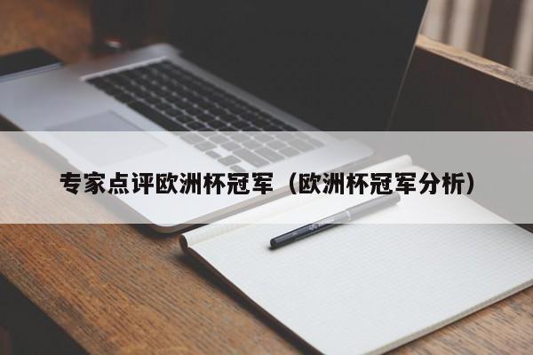 专家点评欧洲杯冠军（欧洲杯冠军分析）