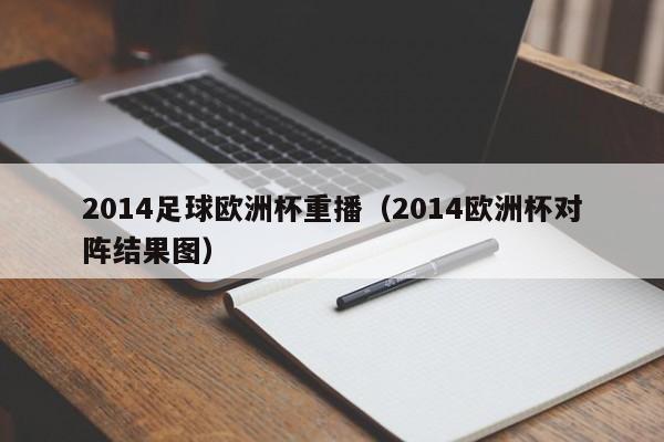 2014足球欧洲杯重播（2014欧洲杯对阵结果图）