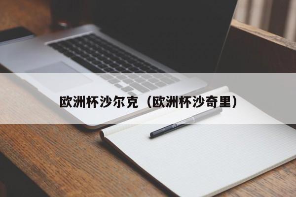 欧洲杯沙尔克（欧洲杯沙奇里）